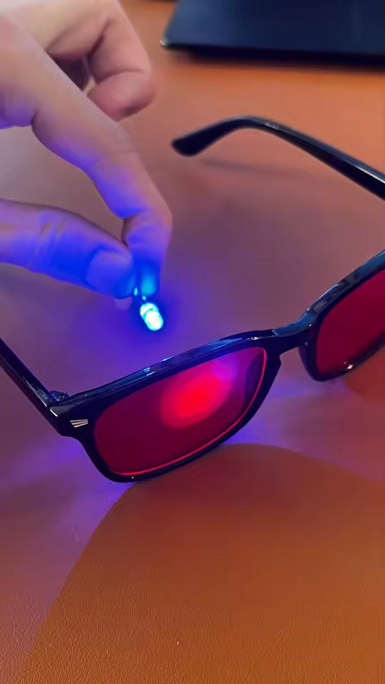 נדב לייבוביץ׳